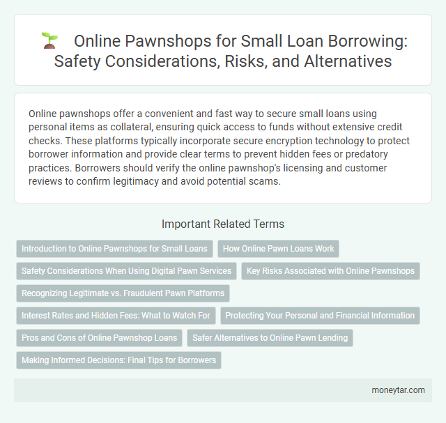 Online Pawnshops for Small Loan Borrowing: Safety Considerations, Risks, and Alternatives