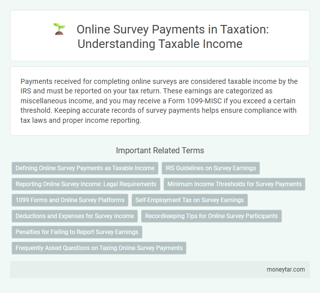 Online Survey Payments in Taxation: Understanding Taxable Income