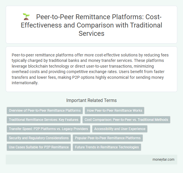 Peer-to-Peer Remittance Platforms: Cost-Effectiveness and Comparison with Traditional Services