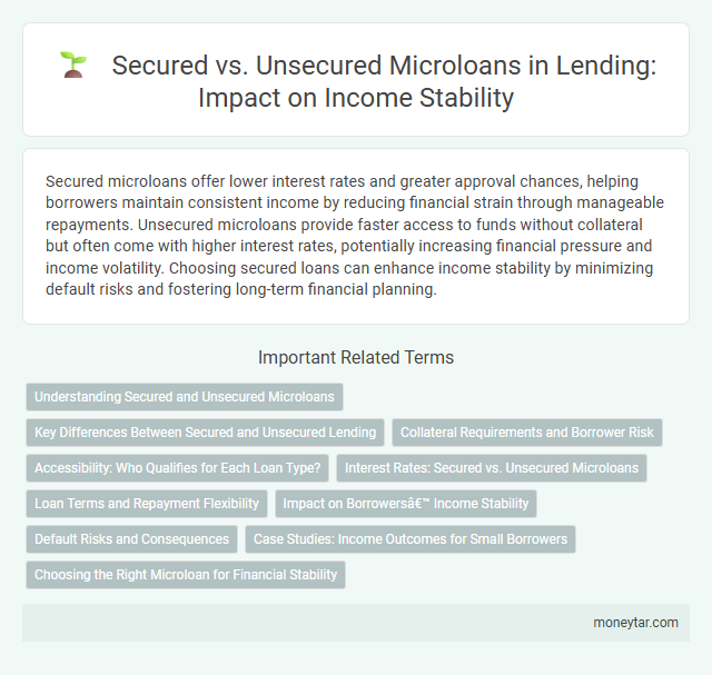 Secured vs. Unsecured Microloans in Lending: Impact on Income Stability