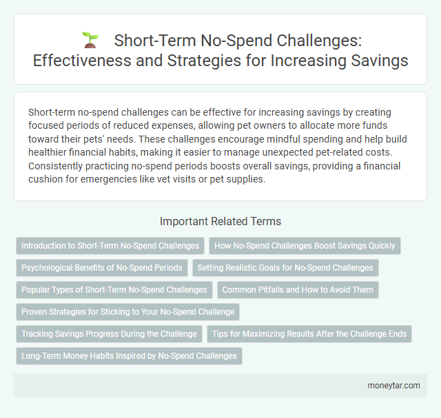 Short-Term No-Spend Challenges: Effectiveness and Strategies for Increasing Savings