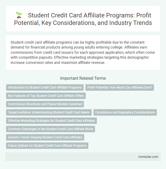 Student Credit Card Affiliate Programs: Profit Potential, Key Considerations, and Industry Trends