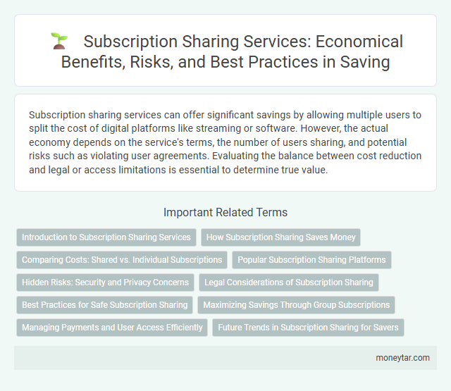 Subscription Sharing Services: Economical Benefits, Risks, and Best Practices in Saving
