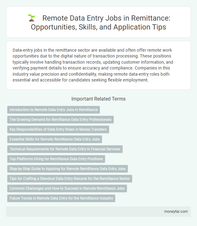Remote Data Entry Jobs in Remittance: Opportunities, Skills, and Application Tips