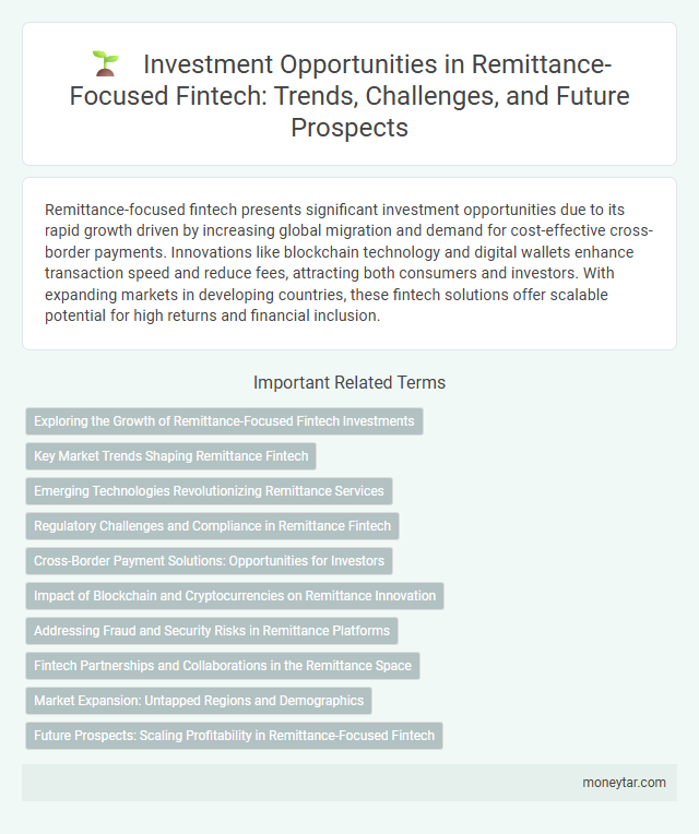 Investment Opportunities in Remittance-Focused Fintech: Trends, Challenges, and Future Prospects