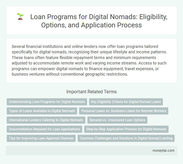 Loan Programs for Digital Nomads: Eligibility, Options, and Application Process