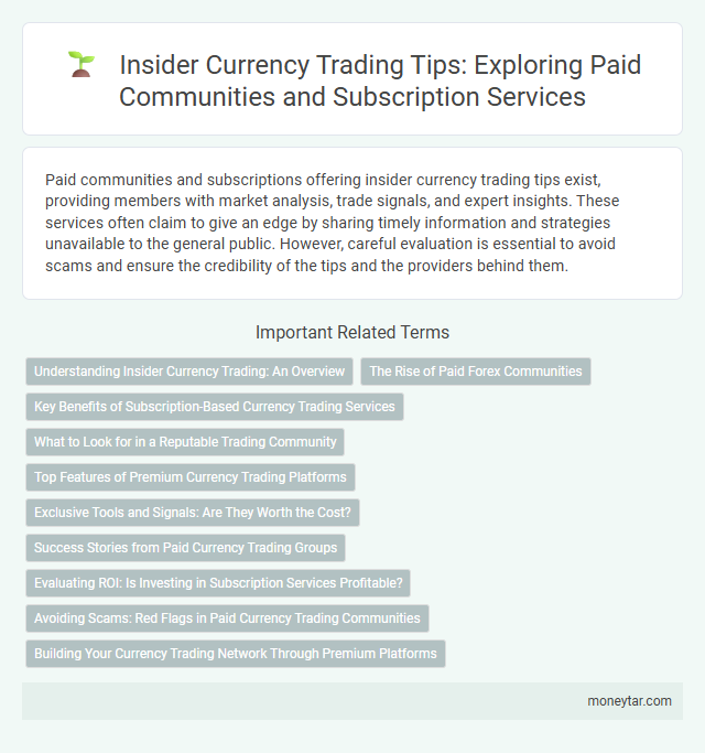 Insider Currency Trading Tips: Exploring Paid Communities and Subscription Services