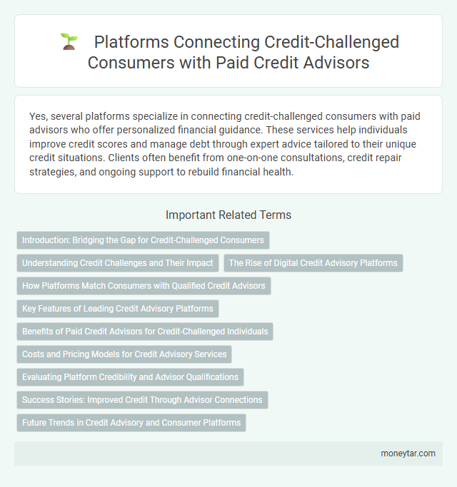 Platforms Connecting Credit-Challenged Consumers with Paid Credit Advisors