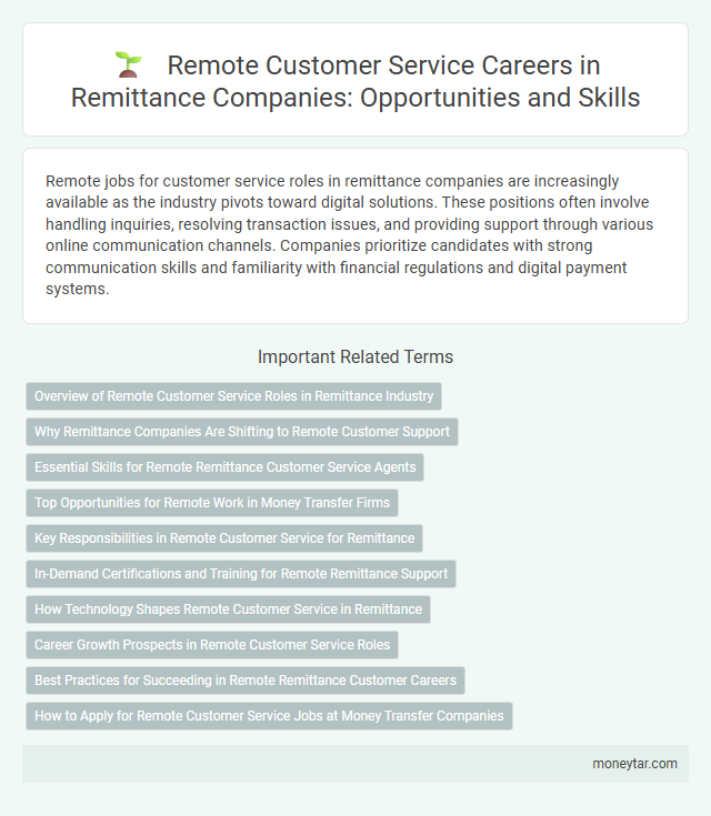 Remote Customer Service Careers in Remittance Companies: Opportunities and Skills