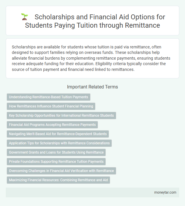 Scholarships and Financial Aid Options for Students Paying Tuition through Remittance