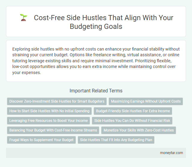 Cost-Free Side Hustles That Align With Your Budgeting Goals