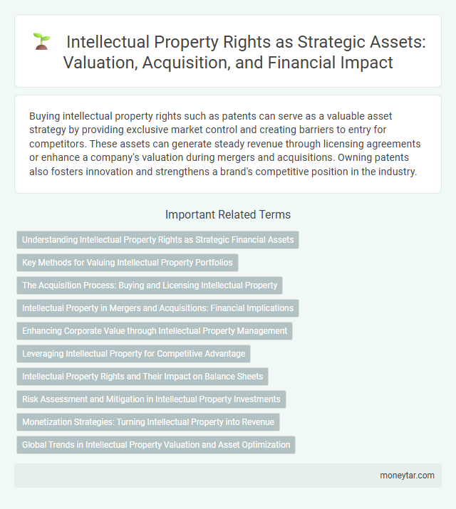 Intellectual Property Rights as Strategic Assets: Valuation, Acquisition, and Financial Impact