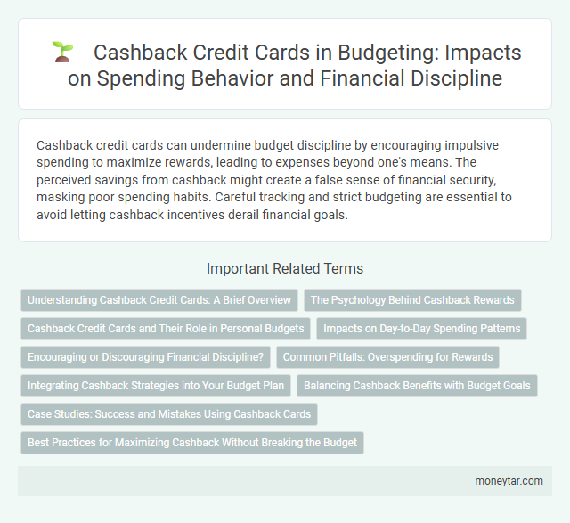 Cashback Credit Cards in Budgeting: Impacts on Spending Behavior and Financial Discipline