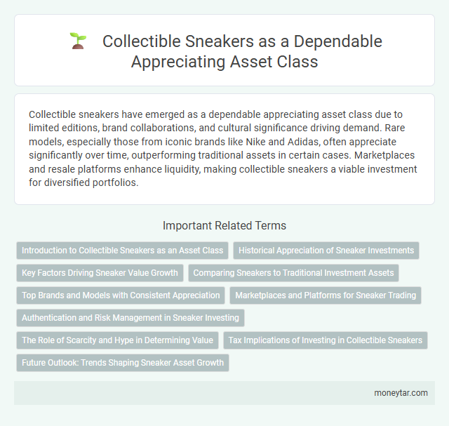 Collectible Sneakers as a Dependable Appreciating Asset Class
