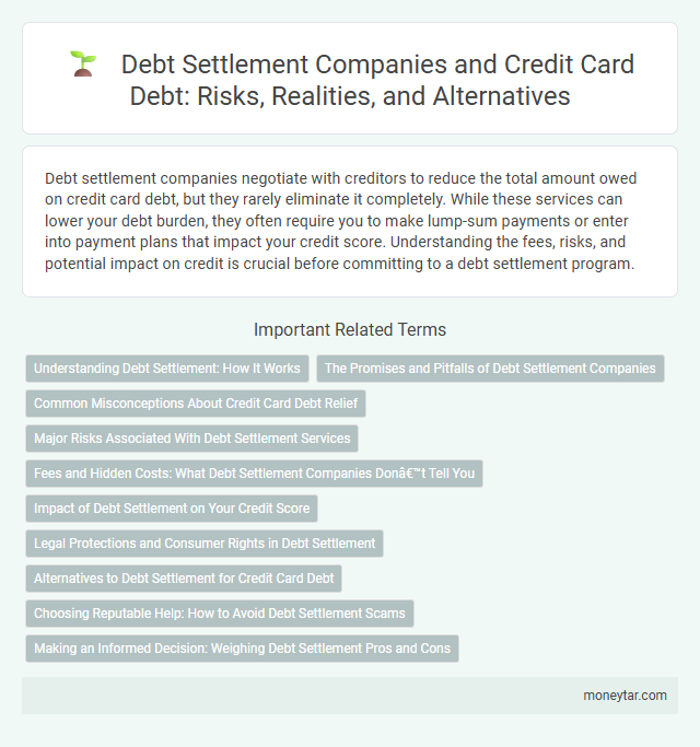 Debt Settlement Companies and Credit Card Debt: Risks, Realities, and Alternatives