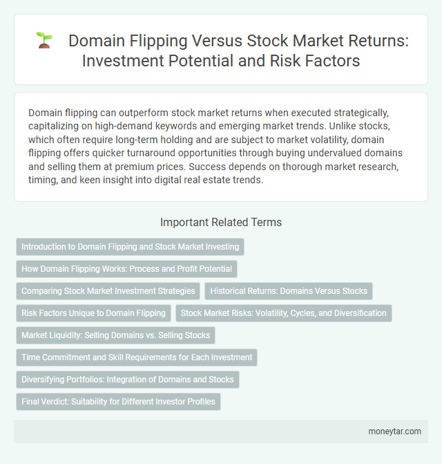 Domain Flipping Versus Stock Market Returns: Investment Potential and Risk Factors