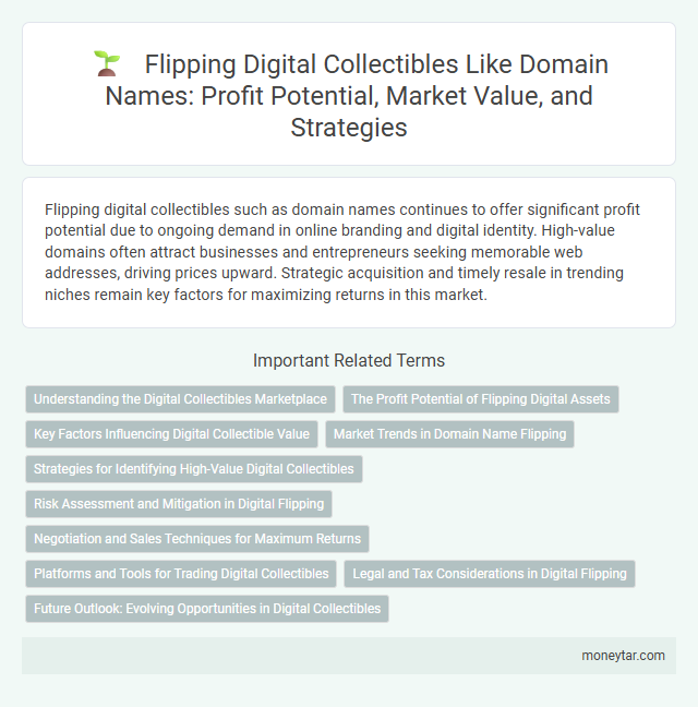 Flipping Digital Collectibles Like Domain Names: Profit Potential, Market Value, and Strategies