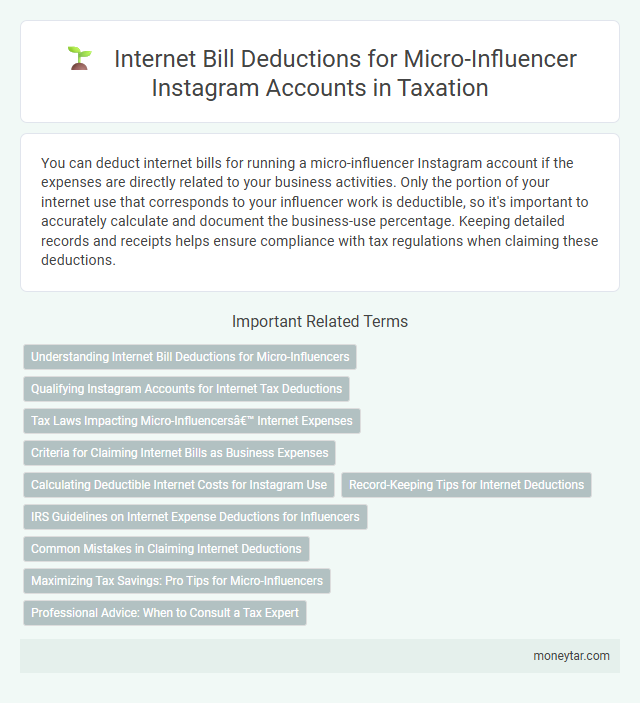 Internet Bill Deductions for Micro-Influencer Instagram Accounts in Taxation
