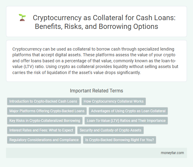 Cryptocurrency as Collateral for Cash Loans: Benefits, Risks, and Borrowing Options