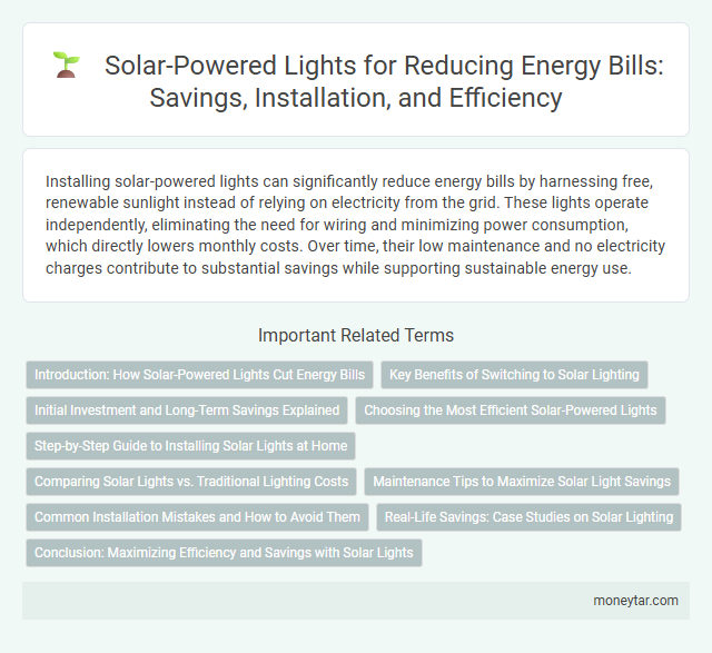 Solar-Powered Lights for Reducing Energy Bills: Savings, Installation, and Efficiency