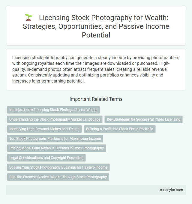 Licensing Stock Photography for Wealth: Strategies, Opportunities, and Passive Income Potential