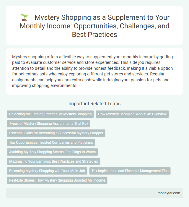 Mystery Shopping as a Supplement to Your Monthly Income: Opportunities, Challenges, and Best Practices