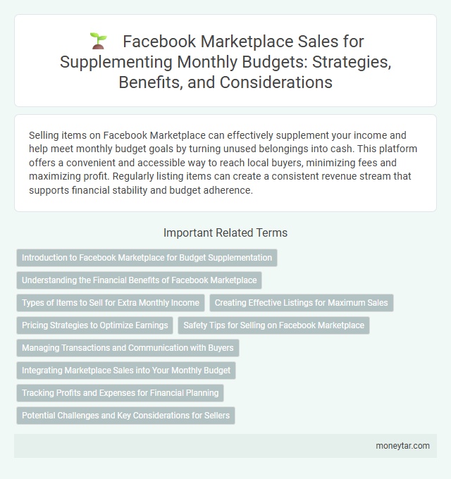Facebook Marketplace Sales for Supplementing Monthly Budgets: Strategies, Benefits, and Considerations