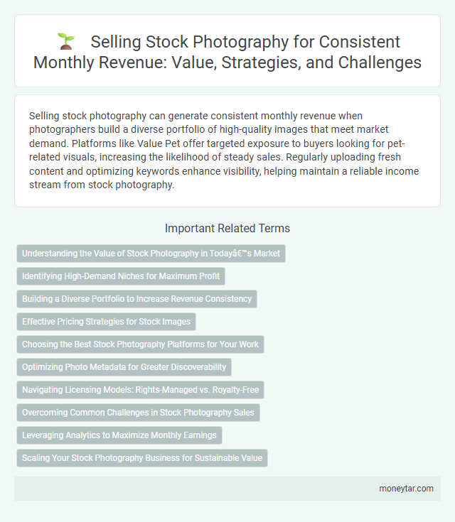 Selling Stock Photography for Consistent Monthly Revenue: Value, Strategies, and Challenges