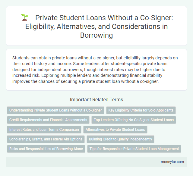 Private Student Loans Without a Co-Signer: Eligibility, Alternatives, and Considerations in Borrowing