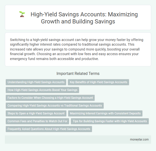 High-Yield Savings Accounts: Maximizing Growth and Building Savings