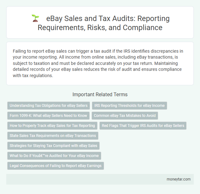 eBay Sales and Tax Audits: Reporting Requirements, Risks, and Compliance