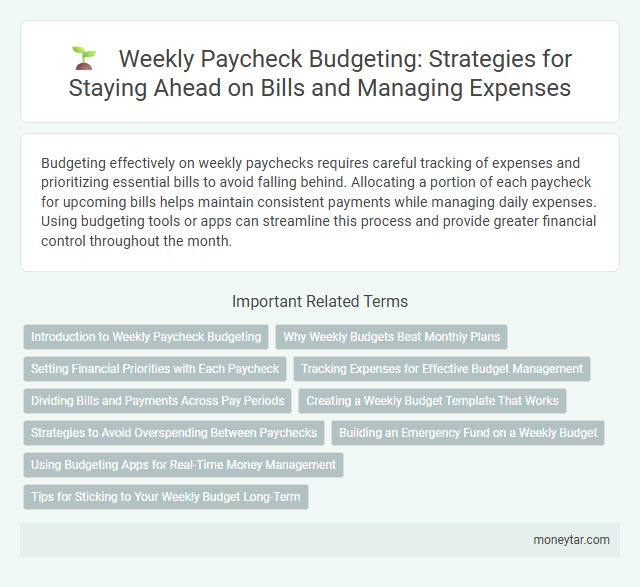 Weekly Paycheck Budgeting: Strategies for Staying Ahead on Bills and Managing Expenses