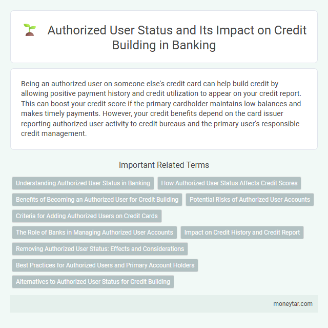 Authorized User Status and Its Impact on Credit Building in Banking