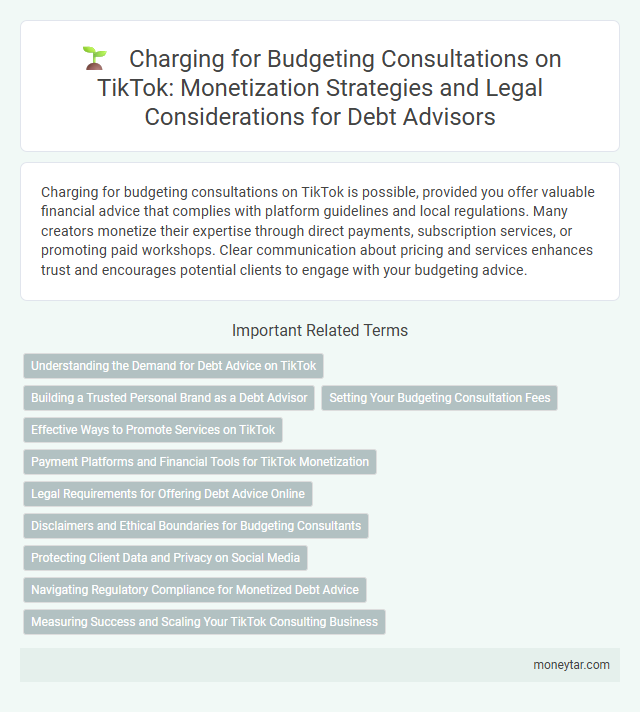 Charging for Budgeting Consultations on TikTok: Monetization Strategies and Legal Considerations for Debt Advisors