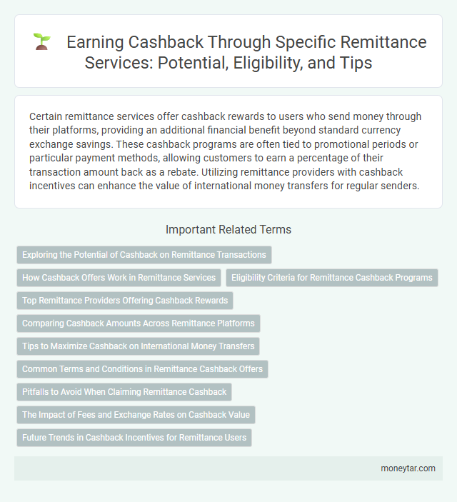 Earning Cashback Through Specific Remittance Services: Potential, Eligibility, and Tips