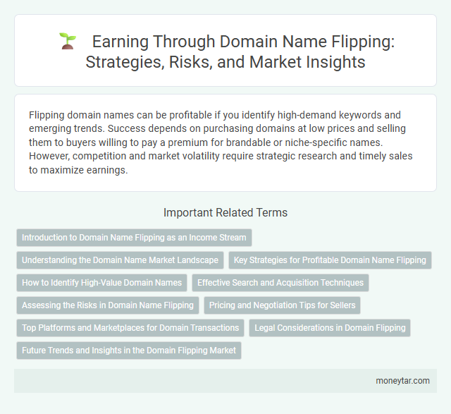Earning Through Domain Name Flipping: Strategies, Risks, and Market Insights