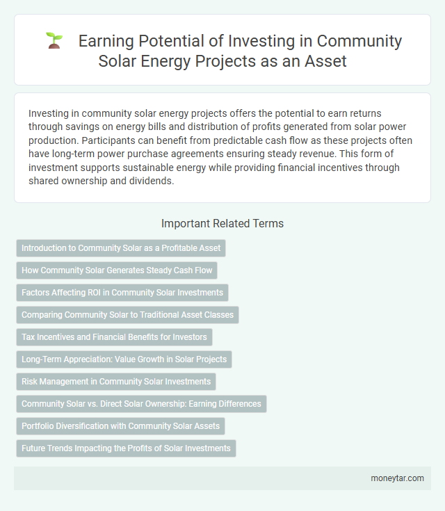 Earning Potential of Investing in Community Solar Energy Projects as an Asset