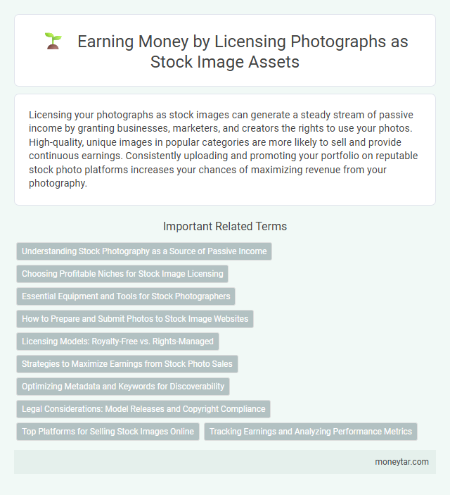 Earning Money by Licensing Photographs as Stock Image Assets
