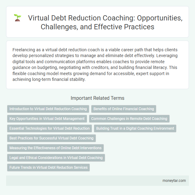 Virtual Debt Reduction Coaching: Opportunities, Challenges, and Effective Practices