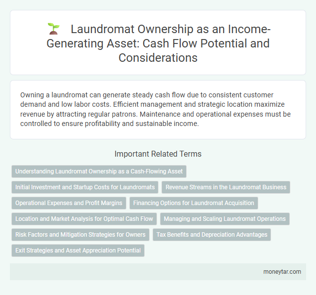 Laundromat Ownership as an Income-Generating Asset: Cash Flow Potential and Considerations