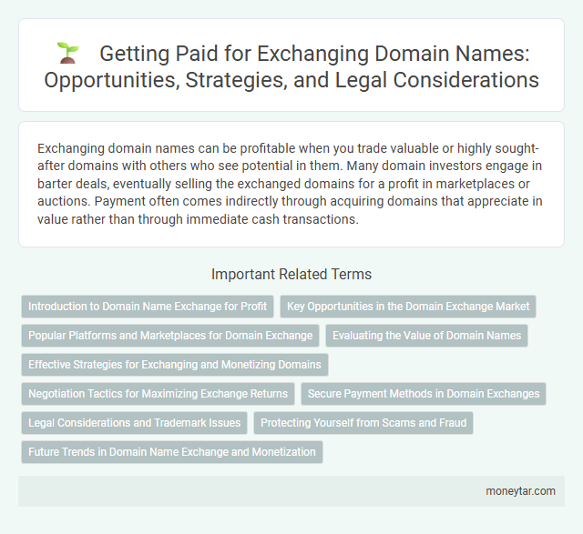 Getting Paid for Exchanging Domain Names: Opportunities, Strategies, and Legal Considerations