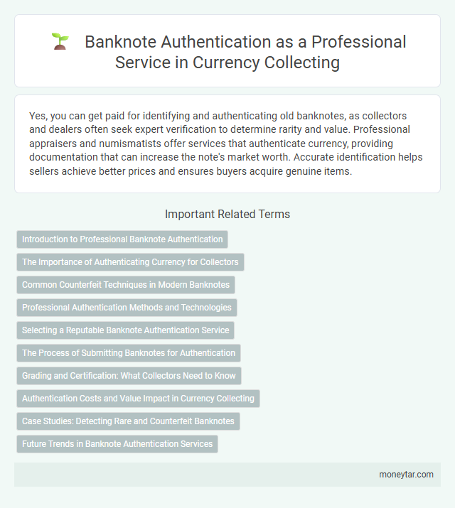 Banknote Authentication as a Professional Service in Currency Collecting