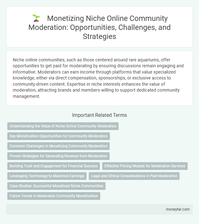 Monetizing Niche Online Community Moderation: Opportunities, Challenges, and Strategies