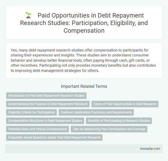 Paid Opportunities in Debt Repayment Research Studies: Participation, Eligibility, and Compensation