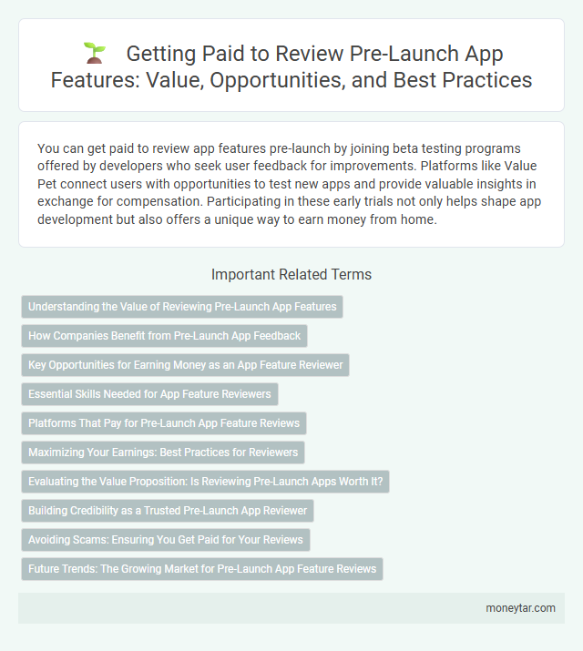 Getting Paid to Review Pre-Launch App Features: Value, Opportunities, and Best Practices