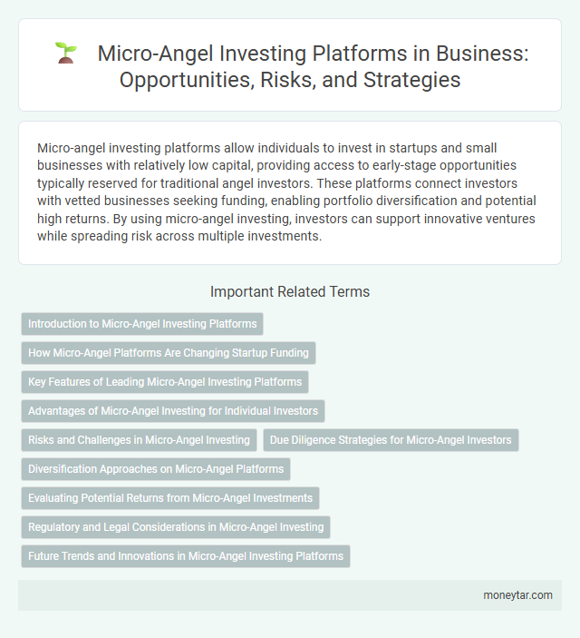 Micro-Angel Investing Platforms in Business: Opportunities, Risks, and Strategies
