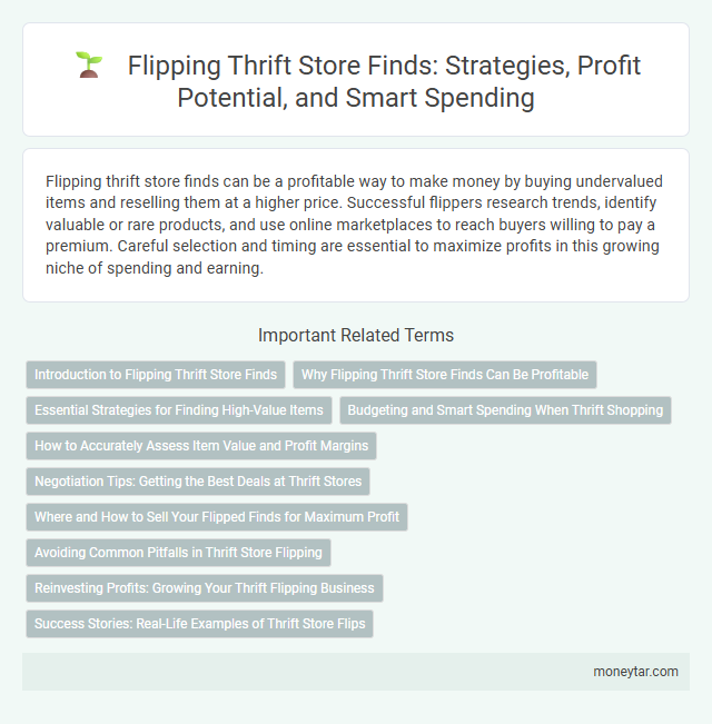 Flipping Thrift Store Finds: Strategies, Profit Potential, and Smart Spending