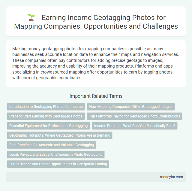 Earning Income Geotagging Photos for Mapping Companies: Opportunities and Challenges