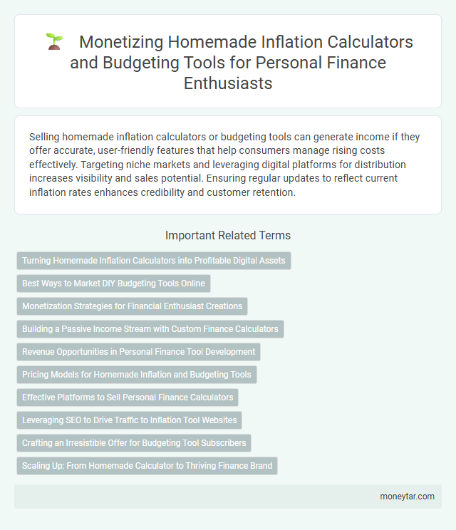 Monetizing Homemade Inflation Calculators and Budgeting Tools for Personal Finance Enthusiasts