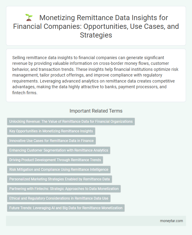 Monetizing Remittance Data Insights for Financial Companies: Opportunities, Use Cases, and Strategies